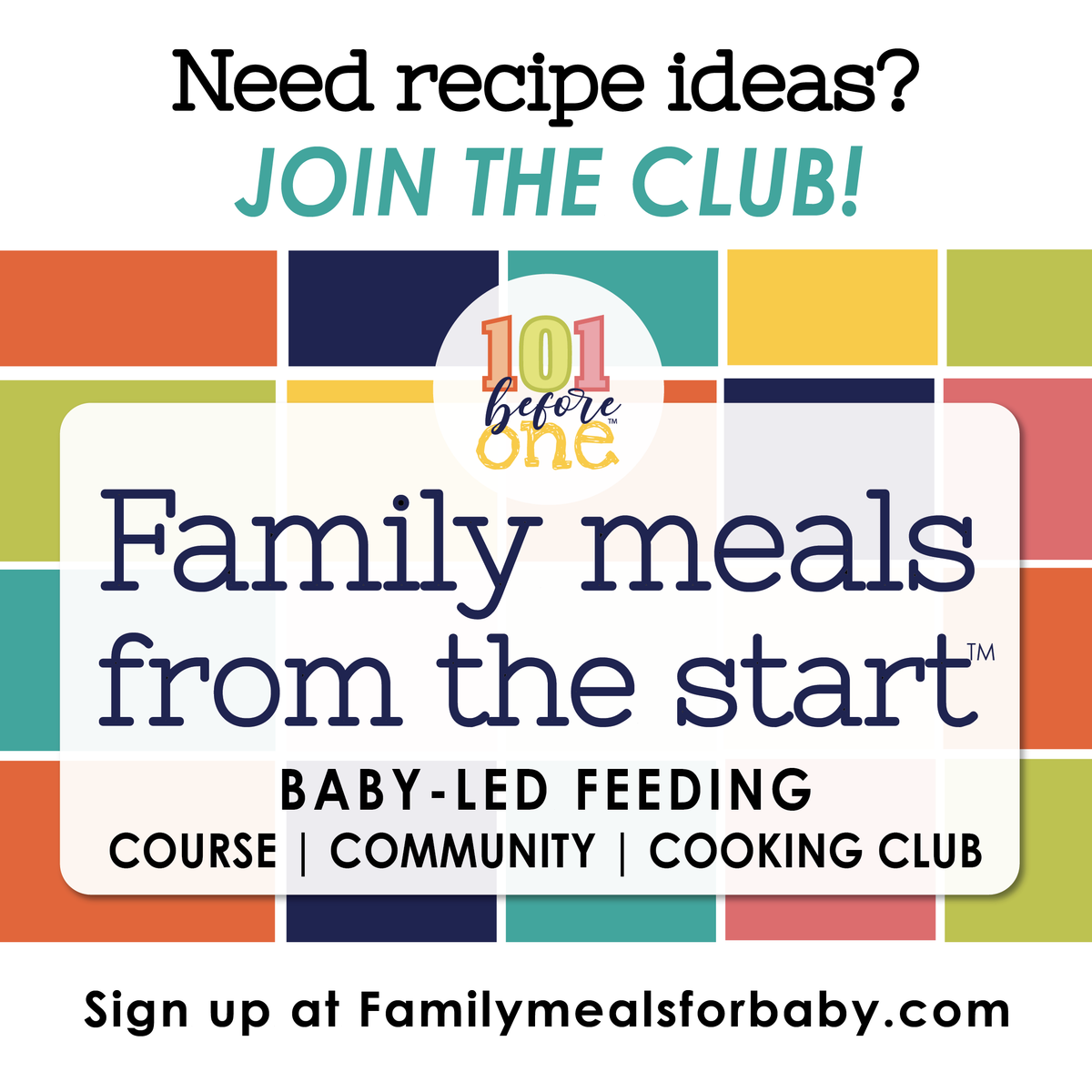 Introduce 101 foods to your baby with Family meals from the start™ Joi